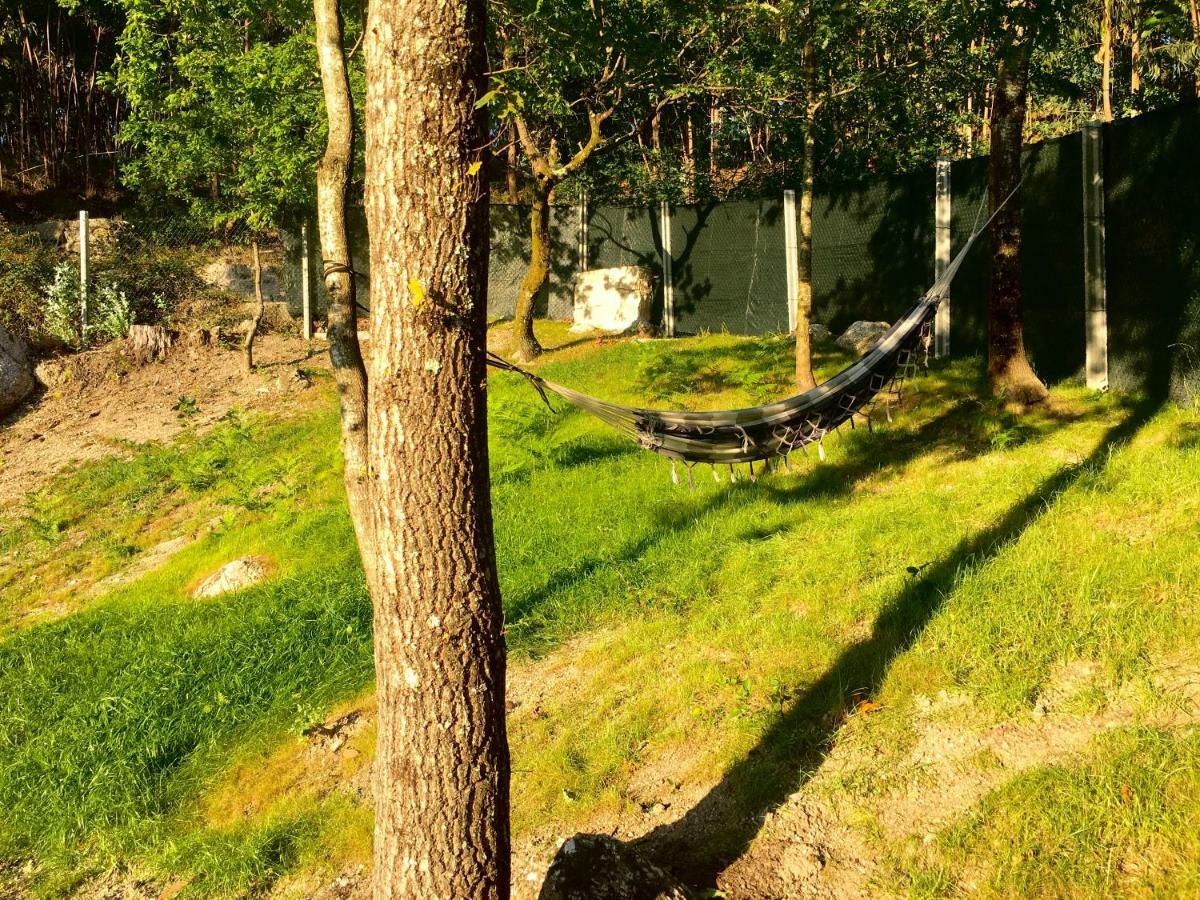 The Green Roof House Vieira do Minho Bagian luar foto